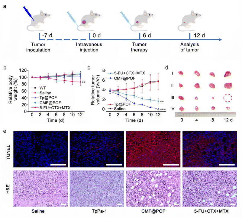 image file: d5sc04021c-f5.tif
