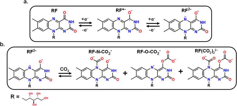 image file: d5sc05427c-s2.tif