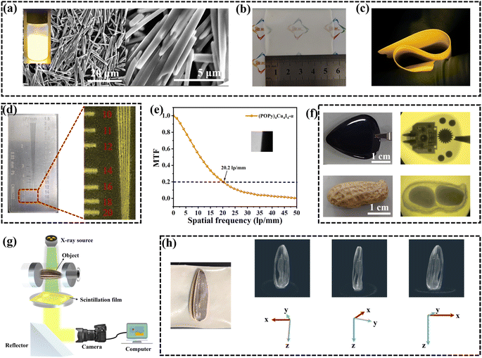 image file: d5sc06329a-f5.tif
