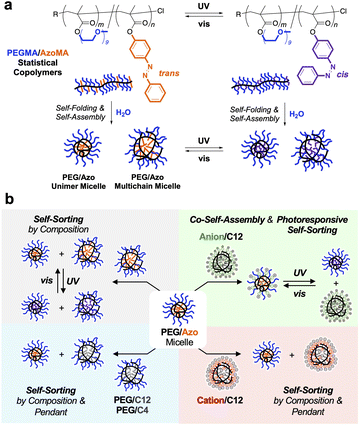 image file: d5sc06852e-f1.tif