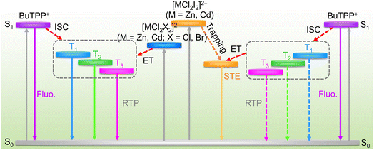image file: d5sc06898c-f4.tif