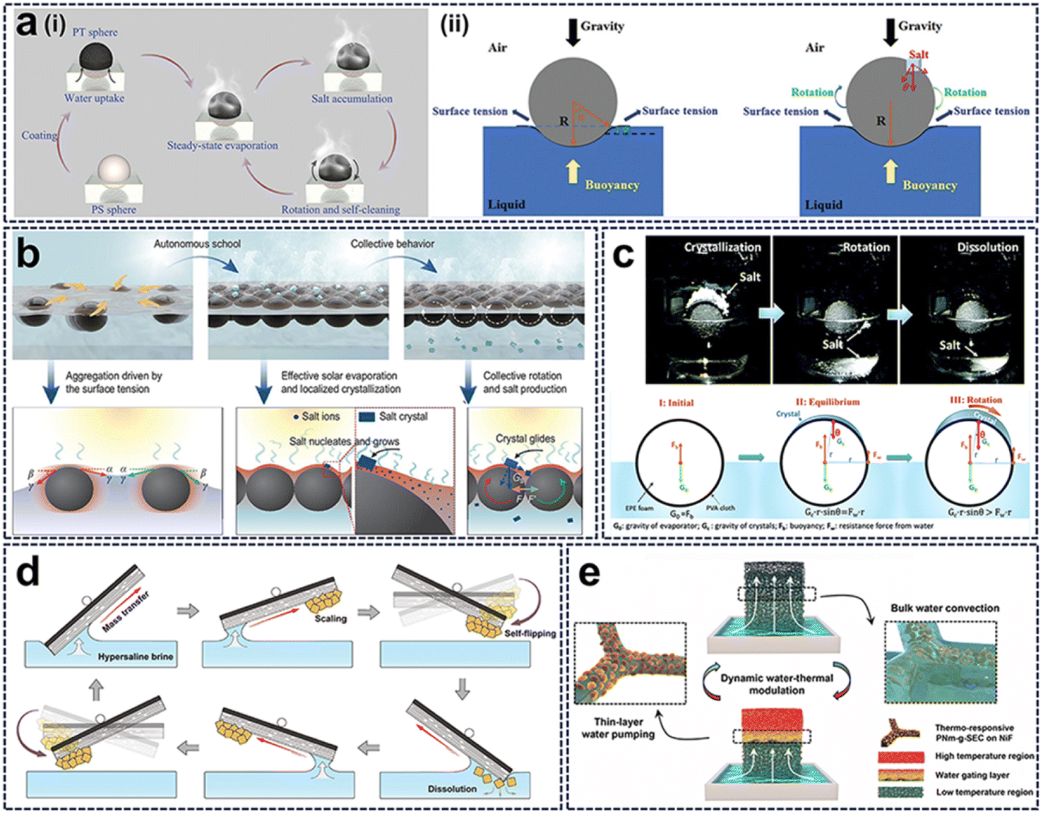 Solar energy technologies for desalination and utilization