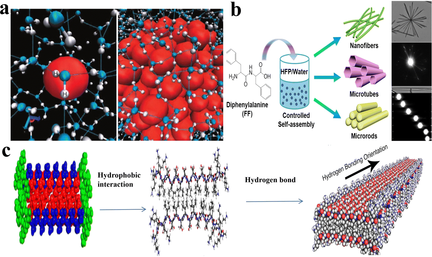Self-assembling peptide hydrogels: design, mechanisms