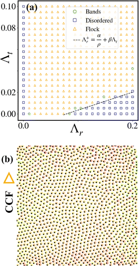 image file: d5sm01005e-f3.tif