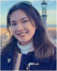 image file: d4ta09139f-p1.tif