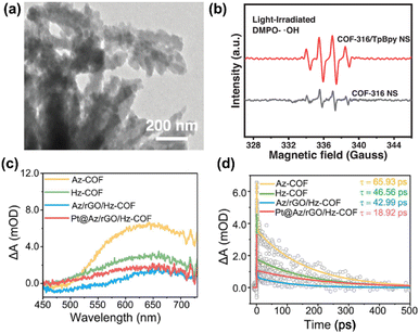 image file: d5ta01232e-f10.tif