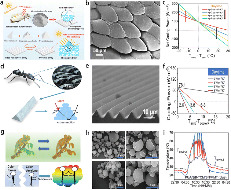 image file: d5ta04553c-f12.tif