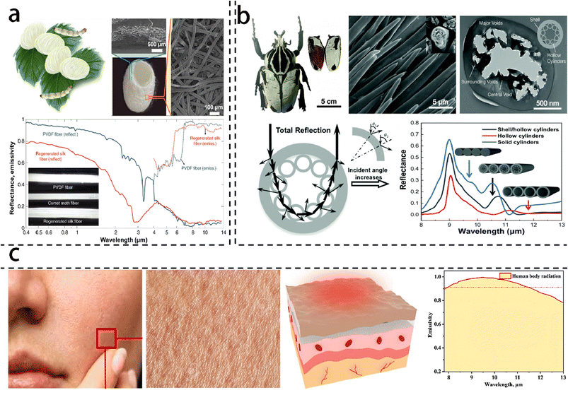 image file: d5ta04553c-f2.tif