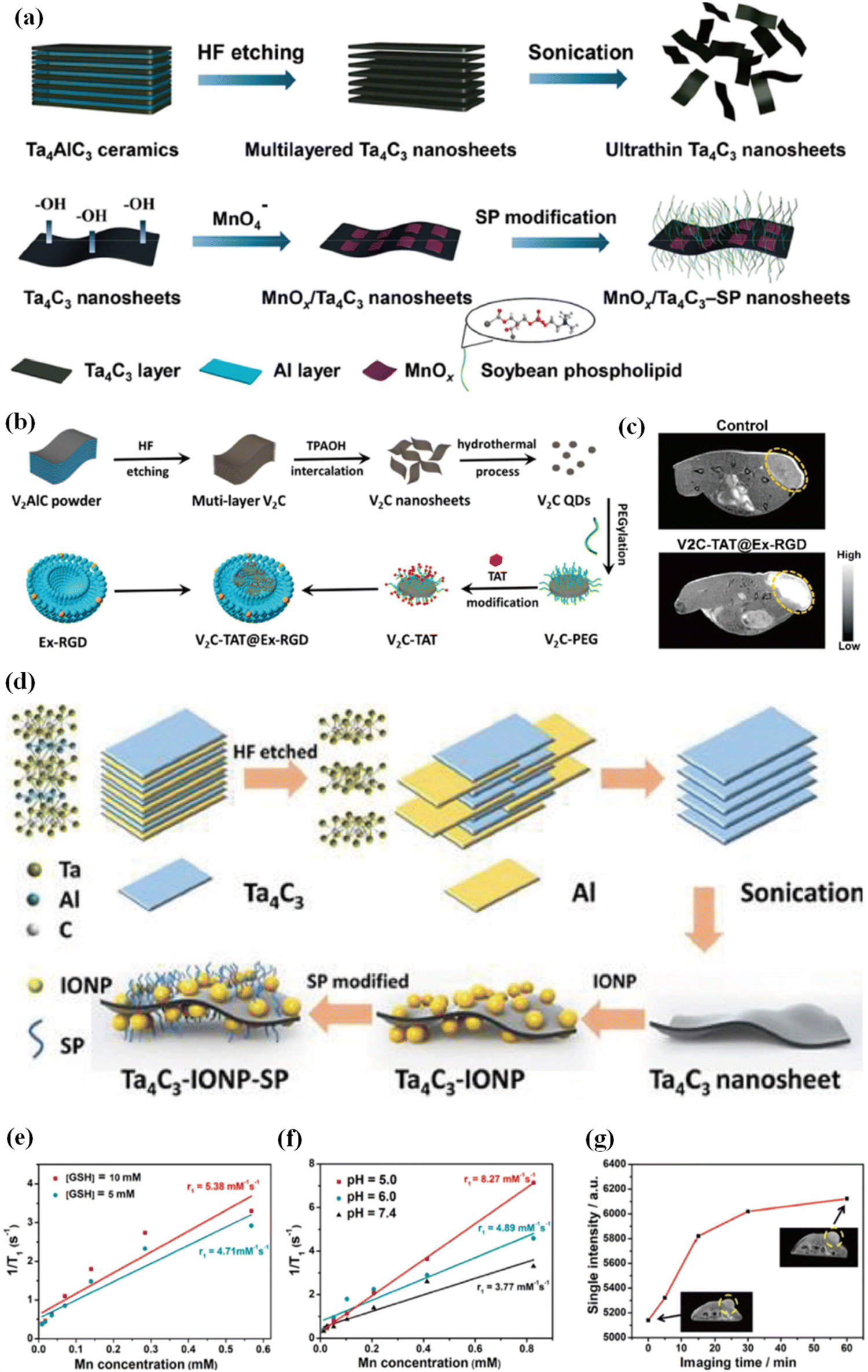 Representative modeling of biocompatible MXene
