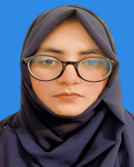 image file: d5tb00147a-p2.tif