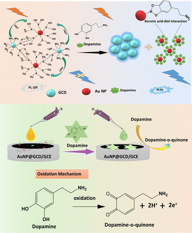 image file: d5tb00265f-s2.tif