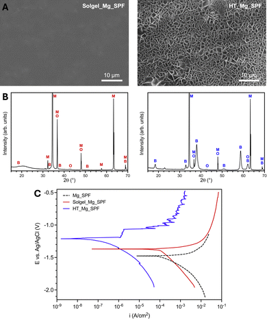 image file: d5tb01282a-f1.tif