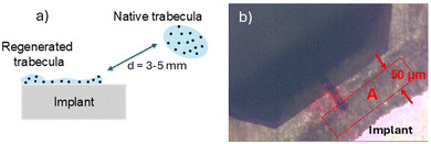 image file: d5tb01282a-f13.tif