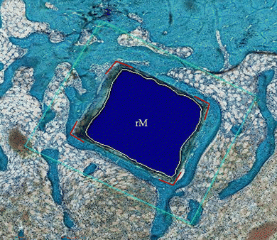 image file: d5tb01282a-f17.tif