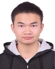 image file: d4tc04672b-p1.tif