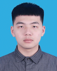 image file: d4tc04844j-p2.tif