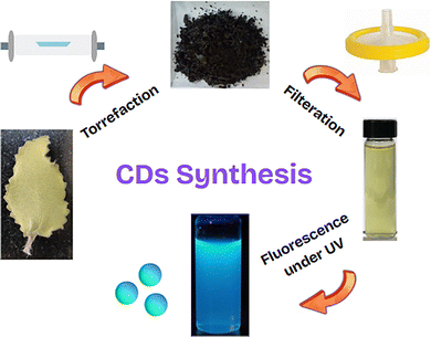 image file: d5tc02199e-s1.tif