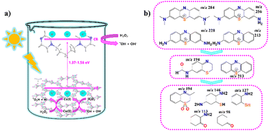 image file: d5tc02511g-f5.tif