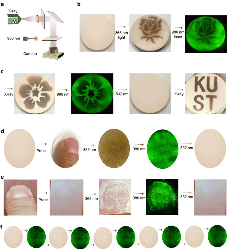 image file: d5tc03067f-f5.tif