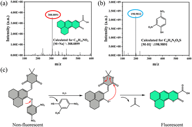 image file: d5tc03098f-f2.tif