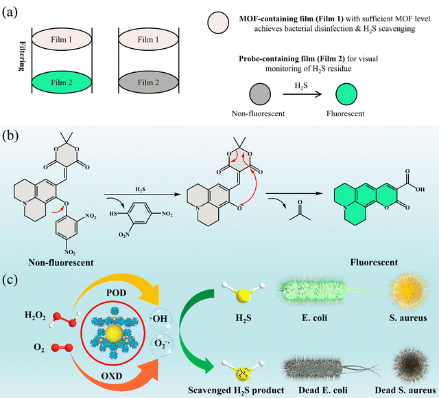 image file: d5tc03098f-s1.tif
