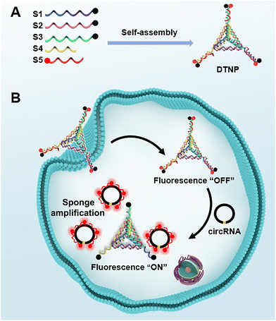 image file: d5an00611b-s1.tif