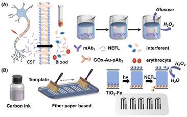 image file: d5an01030f-s1.tif