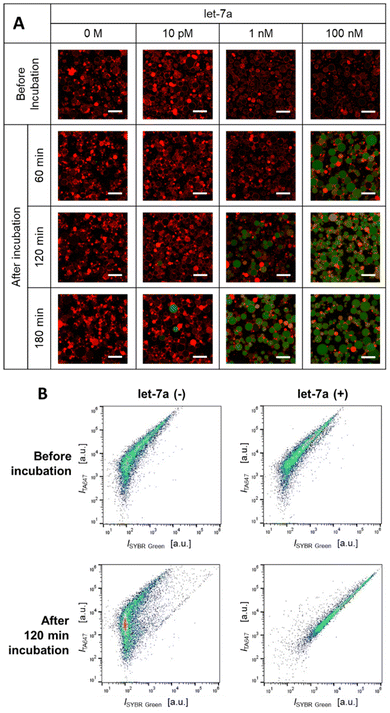 image file: d5an01087j-f2.tif