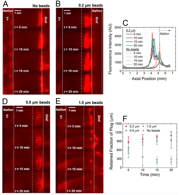 image file: d6an00004e-f2.tif