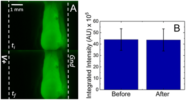 image file: d6an00004e-f4.tif
