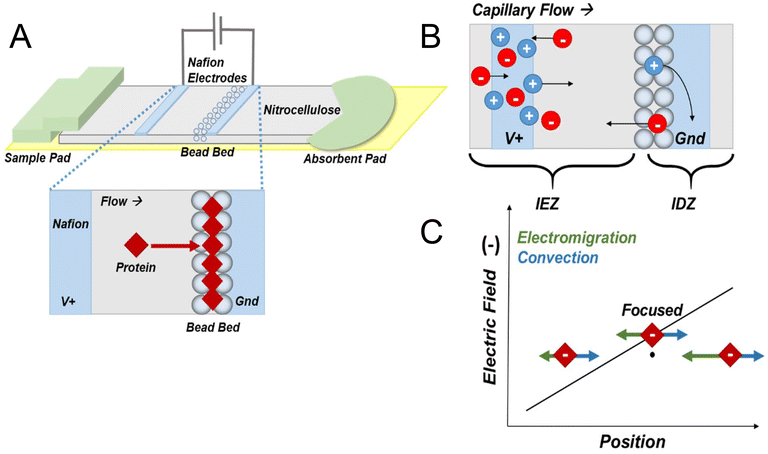 image file: d6an00004e-s1.tif