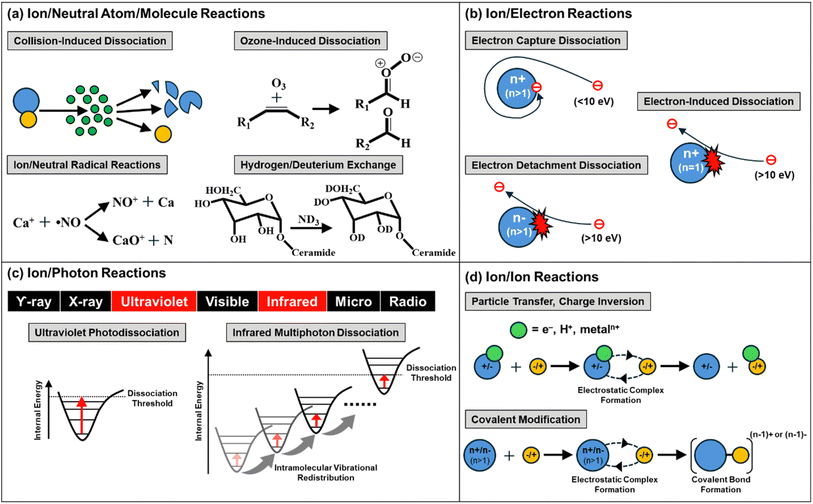 image file: d5ay00535c-f1.tif