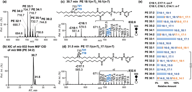 image file: d5ay00535c-f2.tif