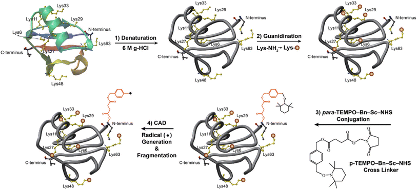 image file: d5ay00535c-f3.tif