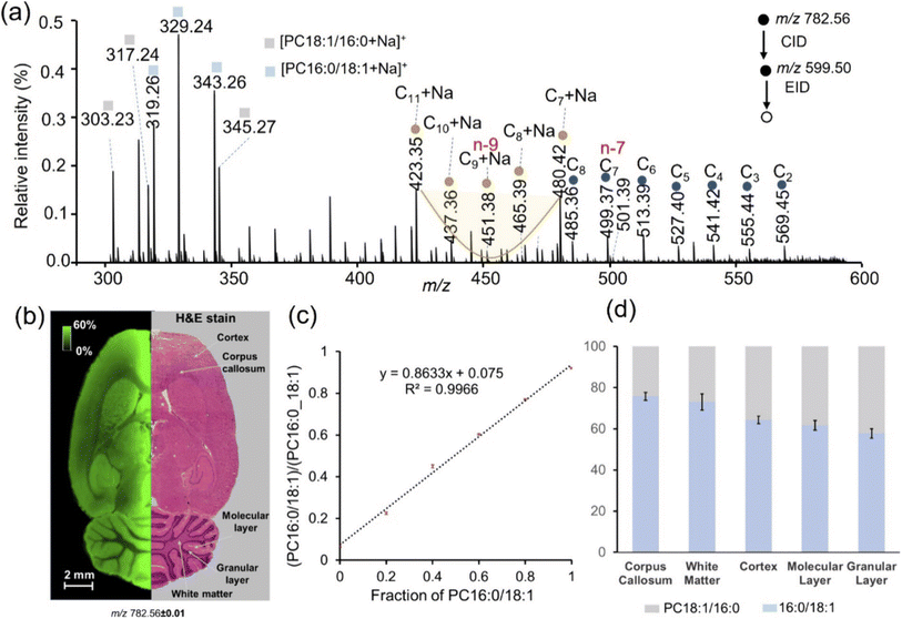 image file: d5ay00535c-f6.tif