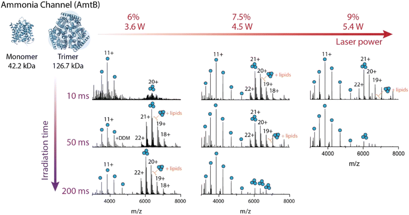 image file: d5ay00535c-f8.tif