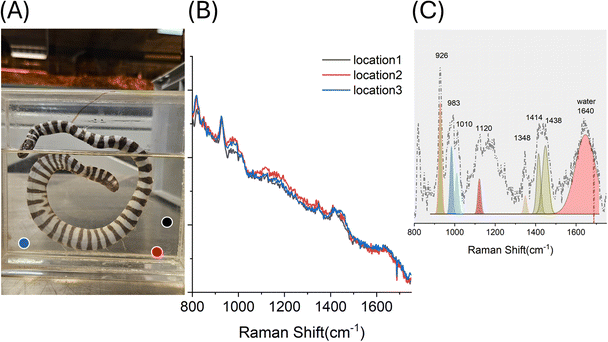 image file: d5ay01654a-f3.tif