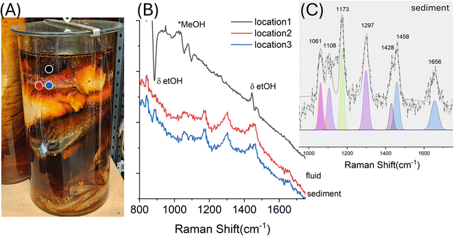 image file: d5ay01654a-f4.tif