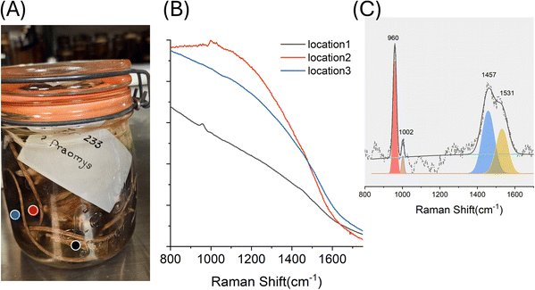 image file: d5ay01654a-f5.tif