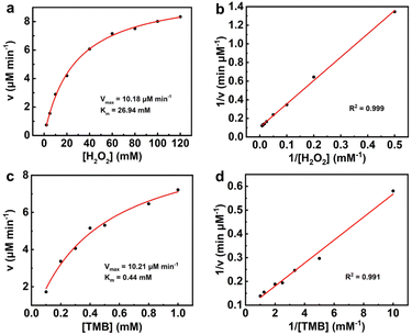 image file: d5ay01909e-f4.tif