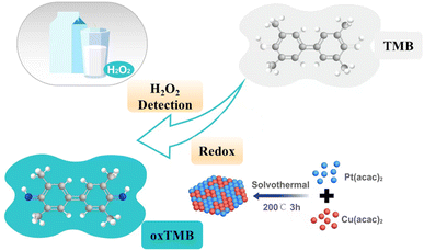 image file: d5ay01909e-s1.tif