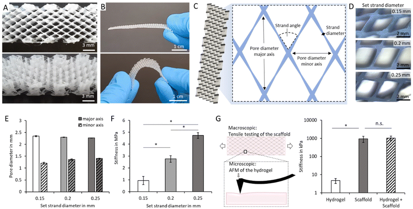 image file: d5bm01465d-f2.tif