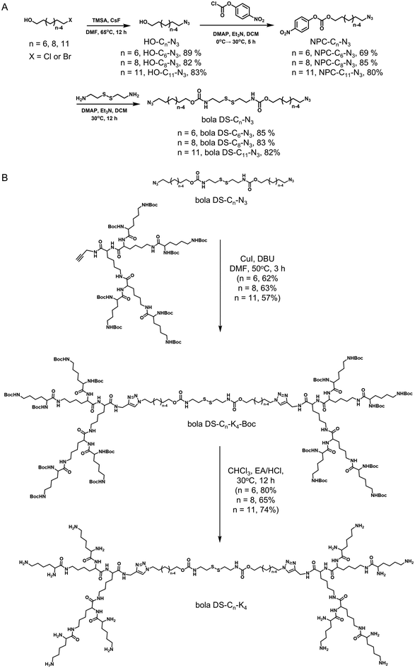 image file: d5bm01643f-s2.tif