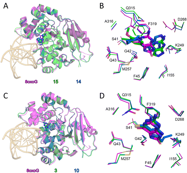 image file: d4cb00323c-f3.tif