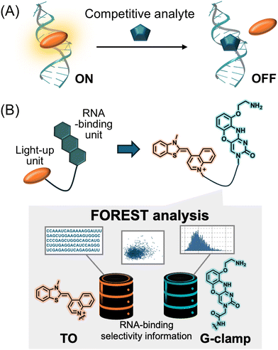 image file: d5cb00078e-f1.tif