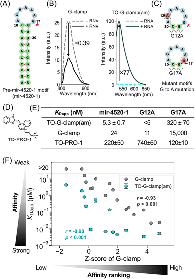 image file: d5cb00078e-f3.tif