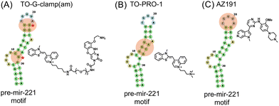 image file: d5cb00078e-f7.tif