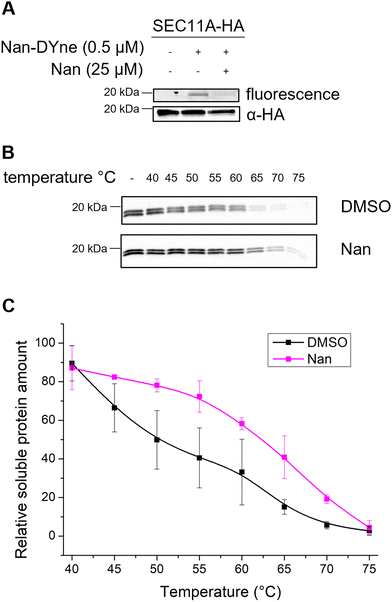 image file: d5cb00126a-f3.tif