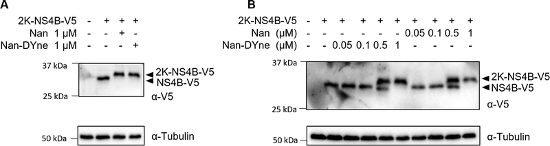 image file: d5cb00126a-f4.tif