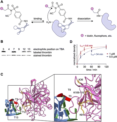 image file: d5cb00133a-f14.tif